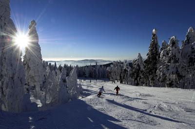 Skiareál Hochficht Skiareál Hochficht