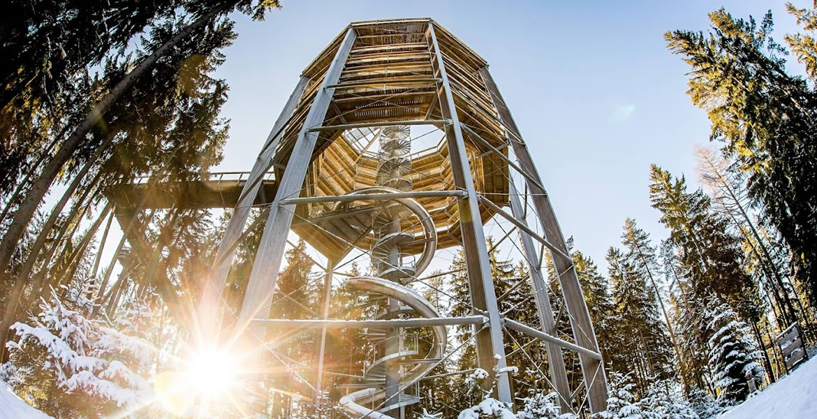 Stezka korunami stromů Lipno stezka korunami stromu lipno zimni pohled do veze