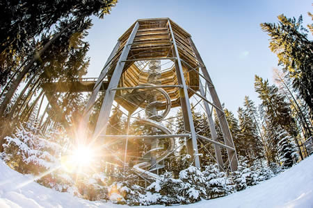 Stezka korunami stromů