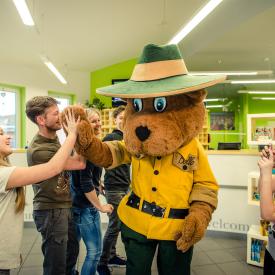 Bollo medvěd na recepci