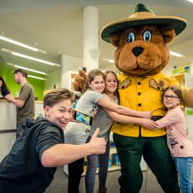 Bollo medvěd na recepci