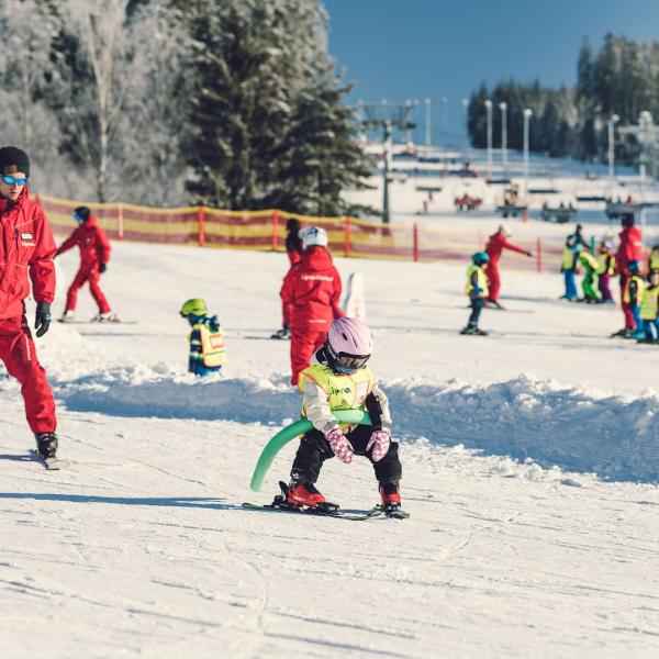 Dětské výukové hřiště FoxPark na Lipně