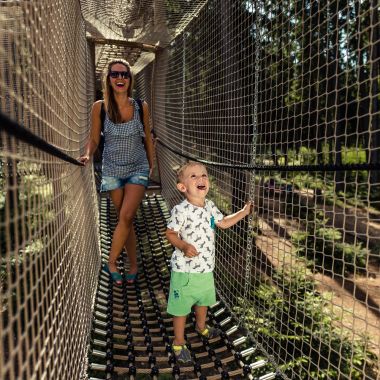 Království lesa na Lipně