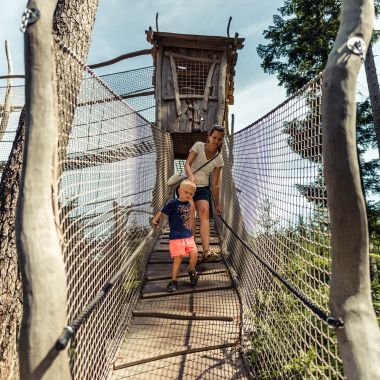 Království lesa na Lipně