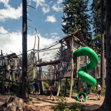 Království lesa na Lipně