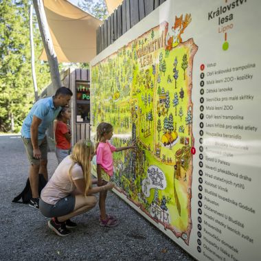 Království lesa na Lipně