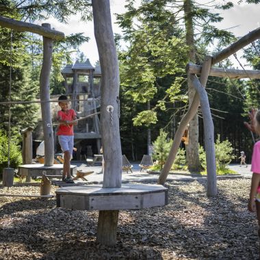 Království lesa na Lipně