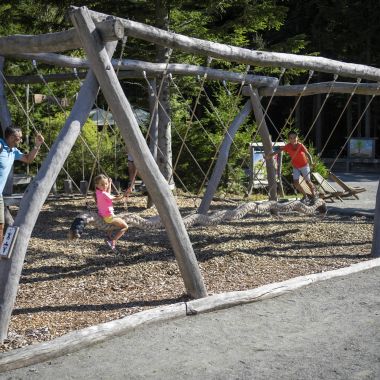 Království lesa na Lipně