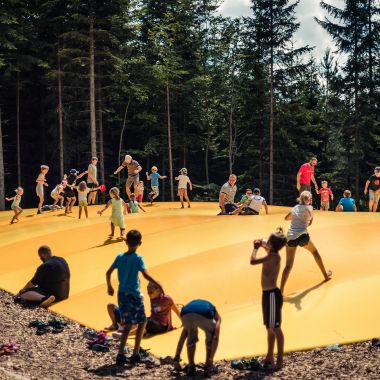 Království lesa na Lipně