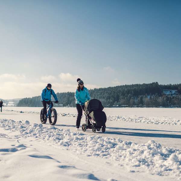 Bruslaři a zimní cyklista na lipenské magistrále 