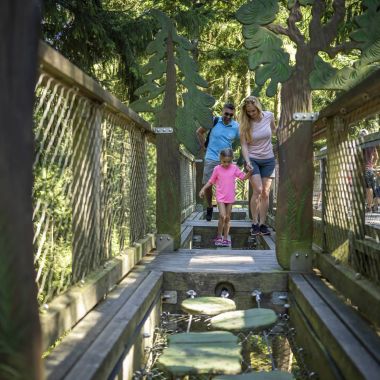 Stezka korunami stromů