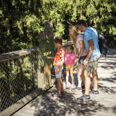 Stezka korunami stromů