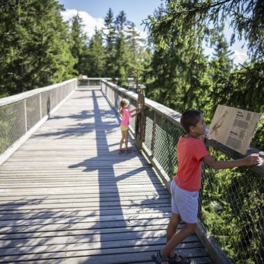 Stezka korunami stromů