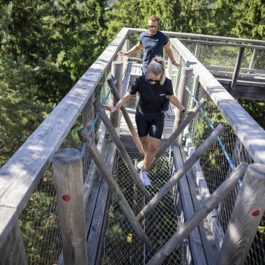 Stezka korunami stromů