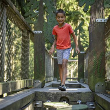 Stezka korunami stromů