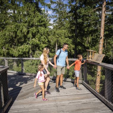 Stezka korunami stromů