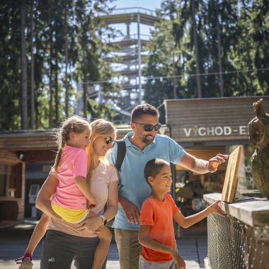 Stezka korunami stromů