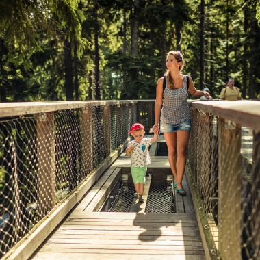 Stezka korunami stromů