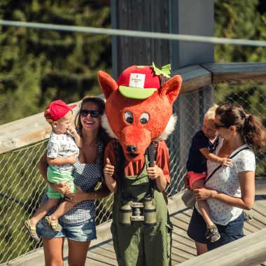 Stezka korunami stromů