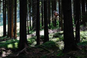 bike park lipno 8