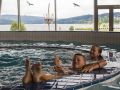 aquaworld lipno 8