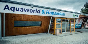 hopsarium lipno 1