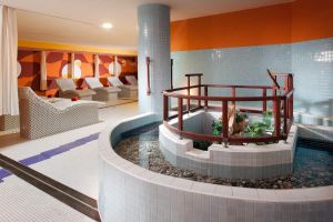 wellness frymburk 2