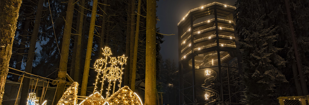 Světelná instalace modelu zvířete na nasvícená Stezce korunami stromů - v noci