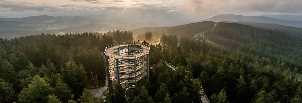 Stezka korunami stromů Lipno
