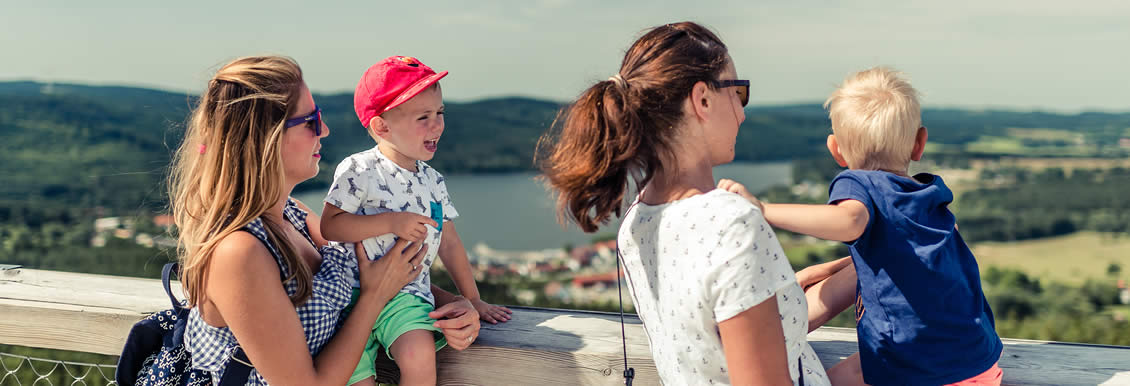 stezka korunami stromu kralovstvi lesa