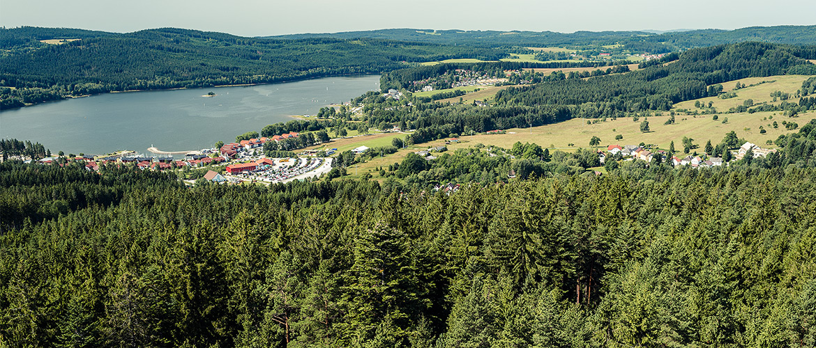 pohled na jezero lipno, lipenskou přírodu a landal marina lipno