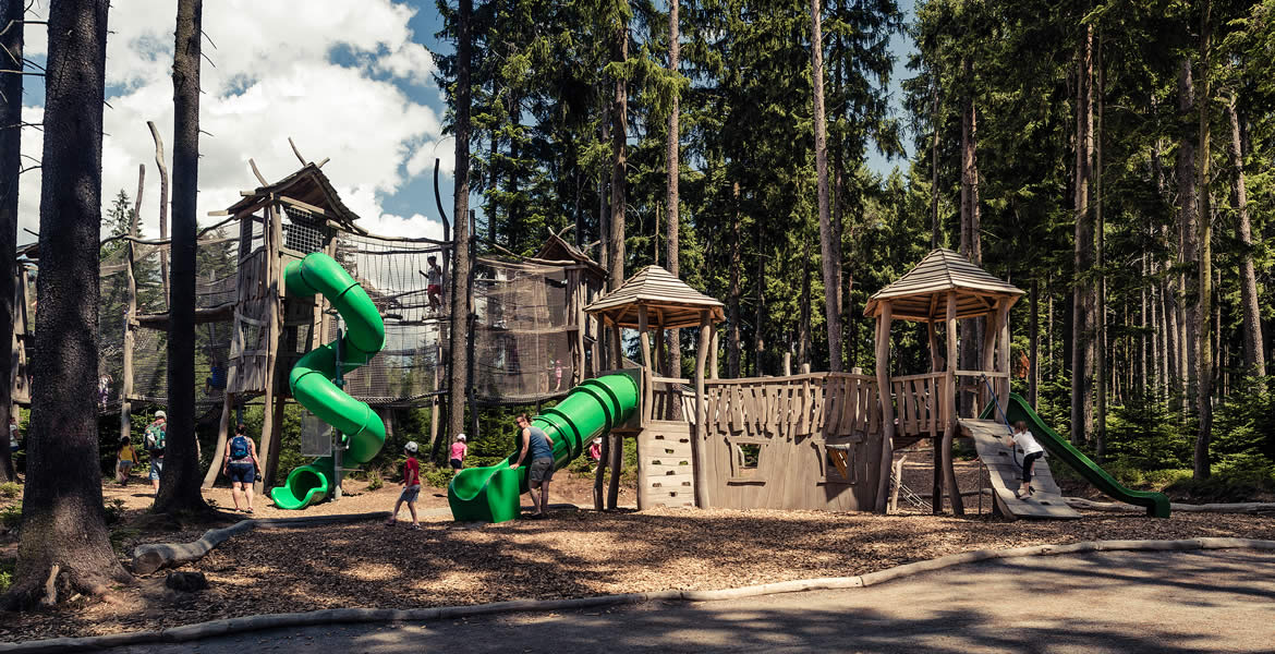 Království lesa Lipno